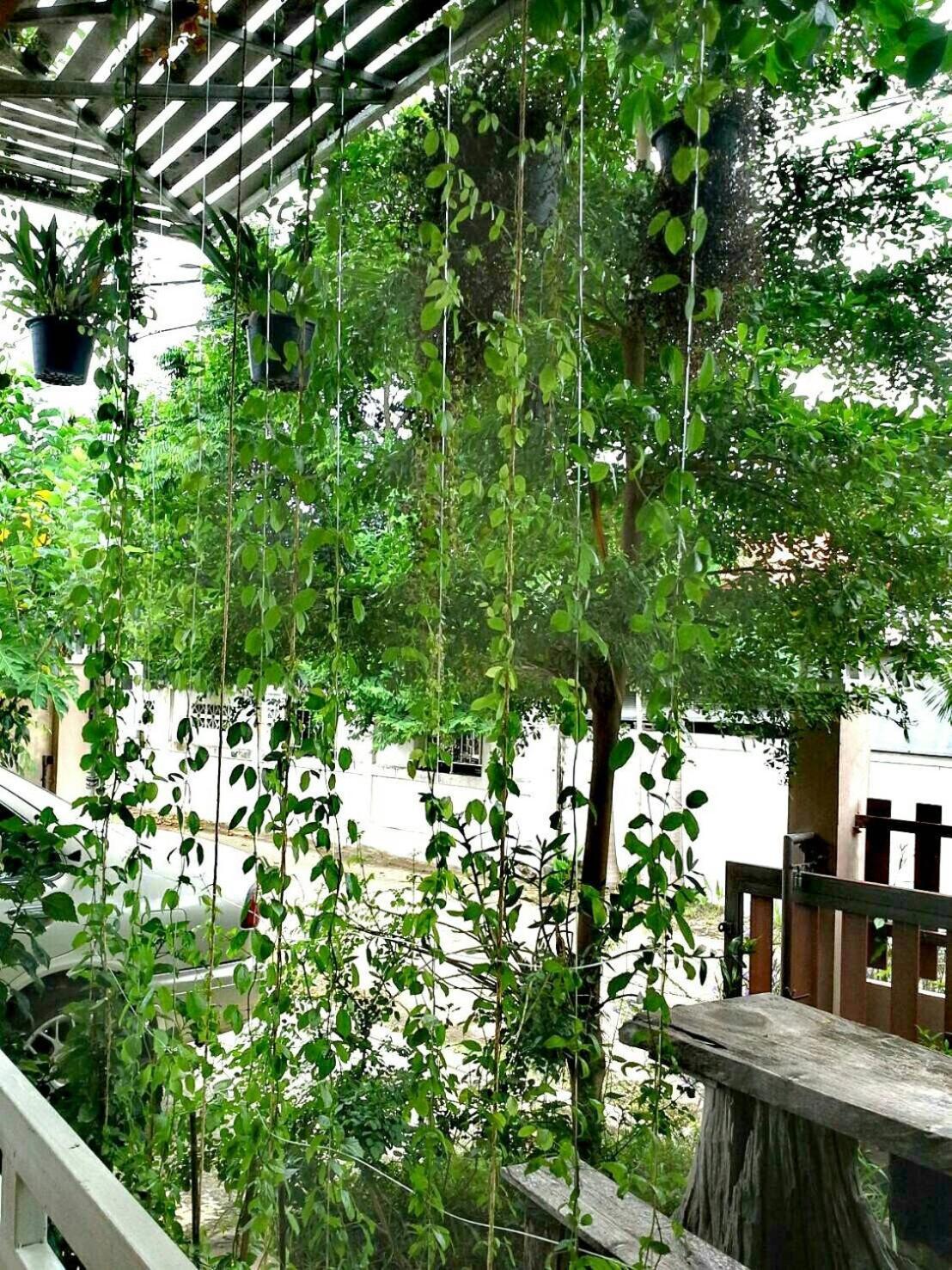 Lampang Lanna Home Экстерьер фото