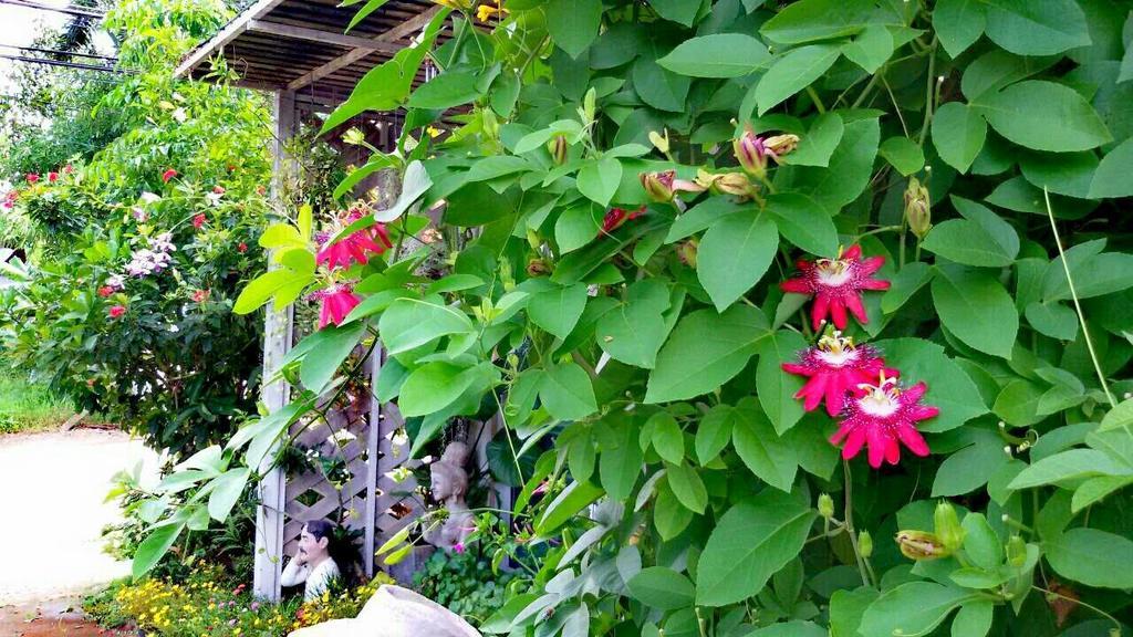 Lampang Lanna Home Экстерьер фото