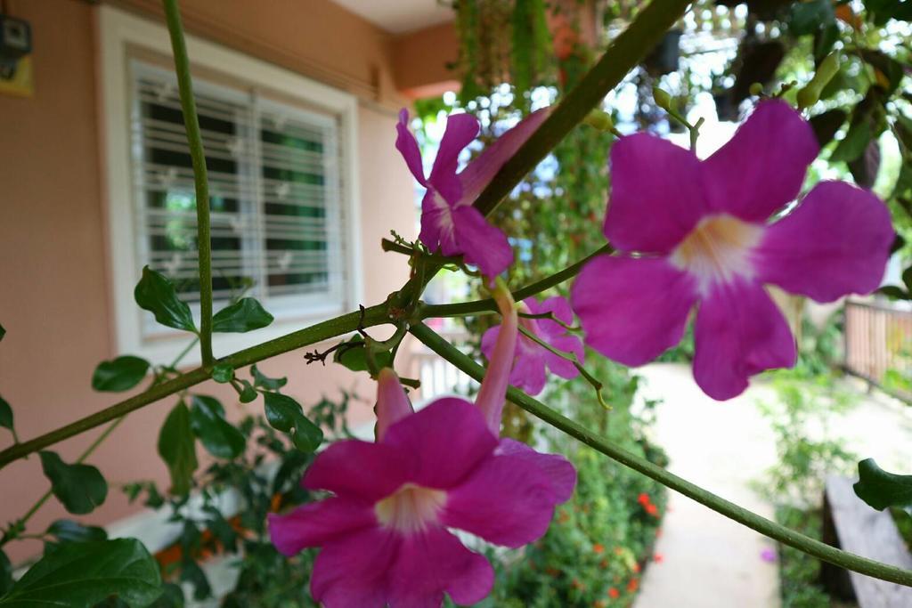 Lampang Lanna Home Экстерьер фото
